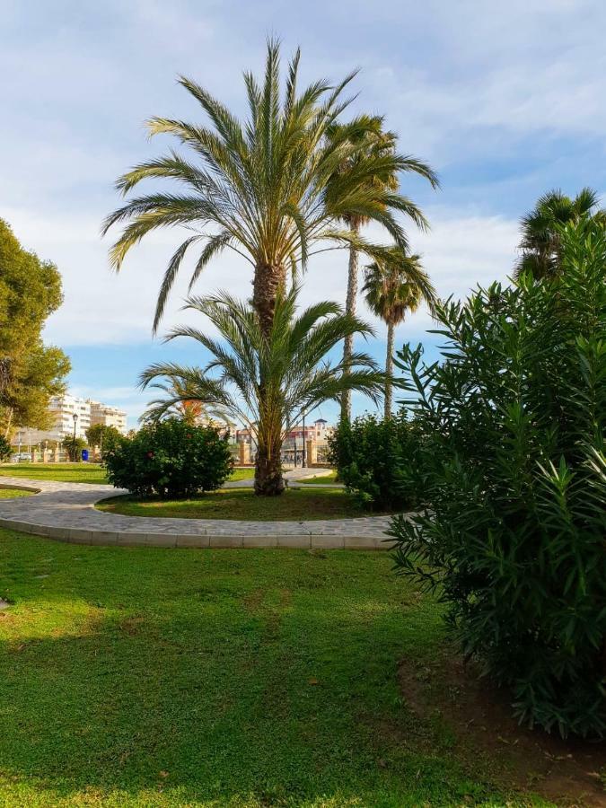 Apartament Margaret Torrevieja Dış mekan fotoğraf
