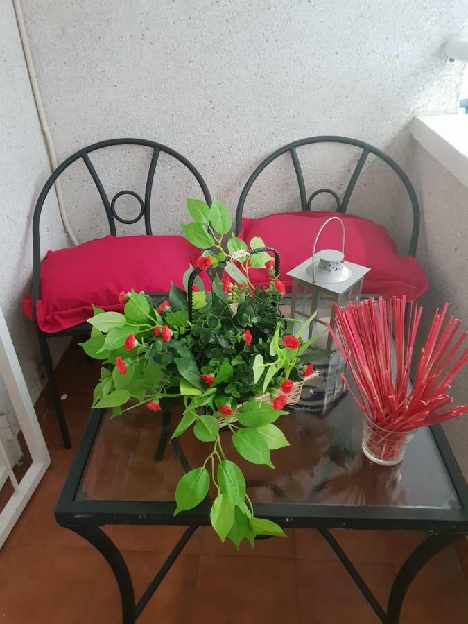 Apartament Margaret Torrevieja Dış mekan fotoğraf